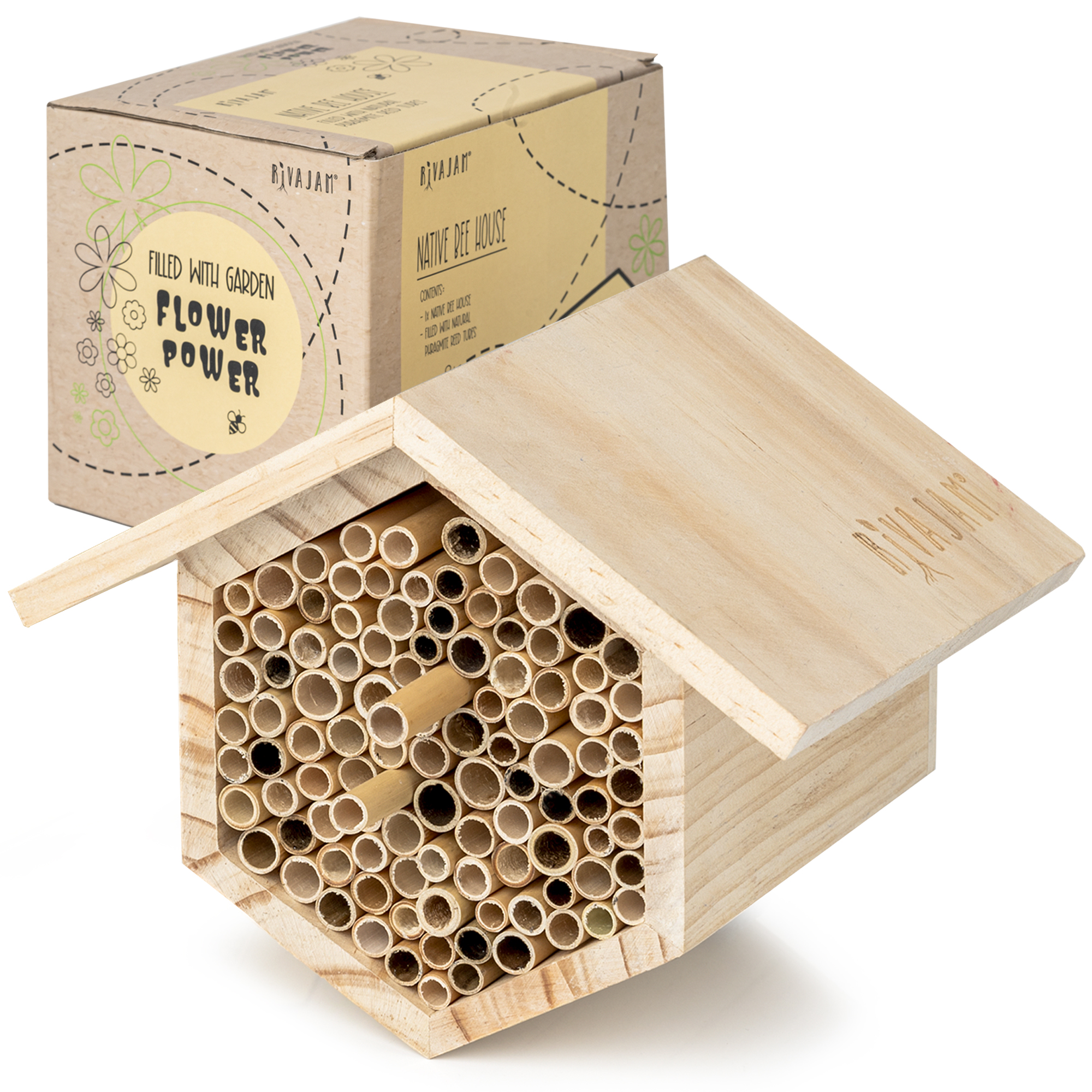 Solitary Bee Hive & Pollinator Bee Box Rivajam 125 Phragmite Reed Mason Bee Tubes Refill Your Mason Bee House Bee Hotel Nest Box Mason Bee Houses for the Garden Starter Kit & Mason Bees Supplies
